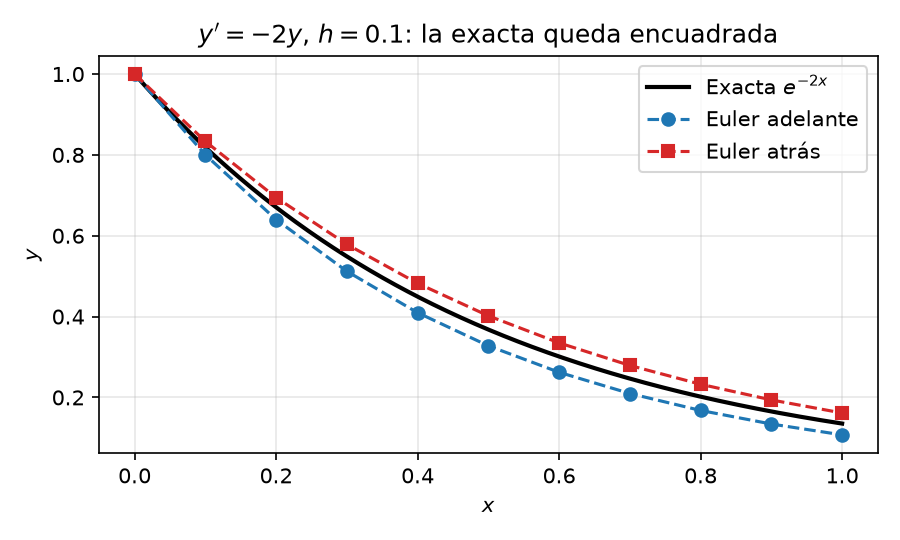 La solución exacta e^{-2x} queda encuadrada entre Euler adelante (por debajo) y Euler atrás (por encima)