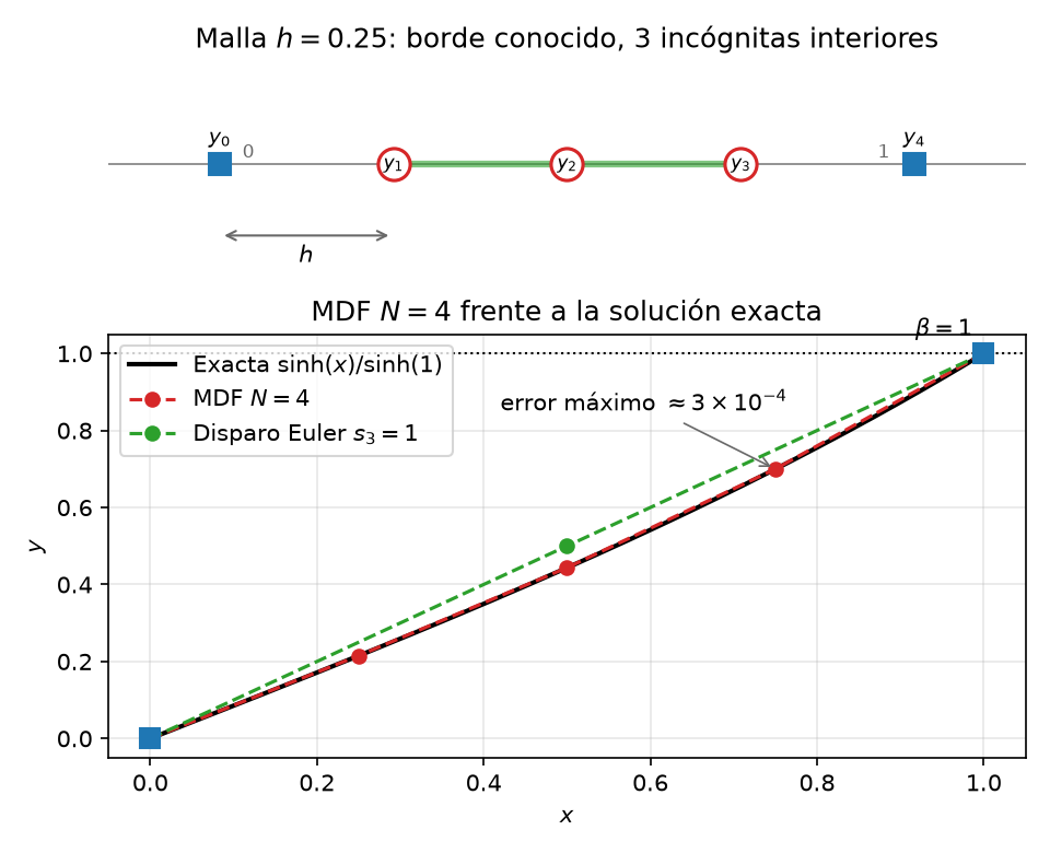 El ejemplo del MDF. Arriba, la malla 1D: los valores de borde y_0=0 e y_4=1 son datos conocidos (azul) y y_1, y_2, y_3 son las incógnitas (rojo); el stencil de 3 puntos acopla cada nodo interior con sus vecinos, que es el origen de la matriz tridiagonal. Abajo, los nodos MDF sobre la solución exacta —caen prácticamente encima de la curva, con error del orden de 10^{-4}—, junto con el disparo de Euler s_3=1 de la sección anterior como referencia del error del integrador.