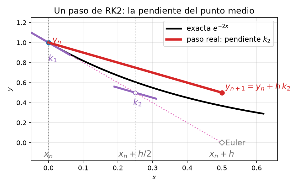 Un paso de RK2 sobre y′ = −2y con y(0)=1 y h = 0.5. La pendiente k₁ en el inicio lleva por un rayo punteado al punto medio (hueco). La pendiente k₂ evaluada allí es la que usa la recta gruesa roja del avance real. El rombo gris marca dónde habría caído Euler puro con el mismo h