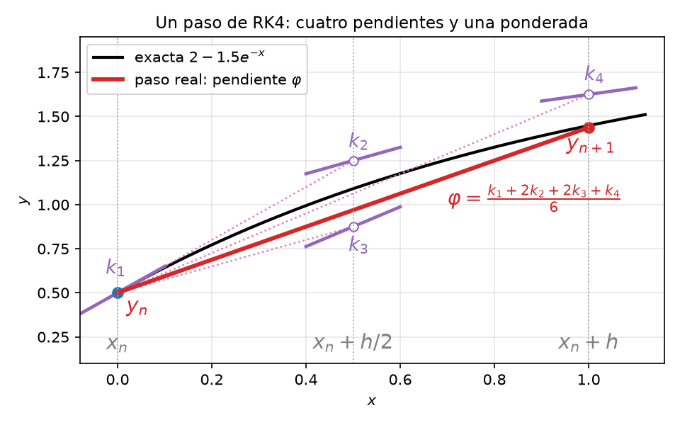 Un paso de RK4 sobre y′ = 2 − y, con y(0) = 0.5 y h = 1. Las cuatro pendientes de prueba k₁–k₄ (violeta) se evalúan en los puntos huecos que alcanzan los rayos punteados. El avance real es una única recta gruesa roja con la pendiente ponderada φ, en un paso tipo Euler que cae casi sobre la solución exacta